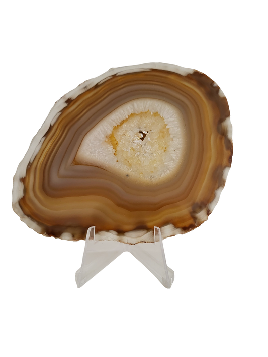 Agaatschijf