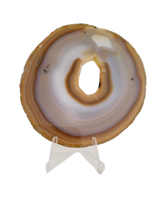 Agaatschijf