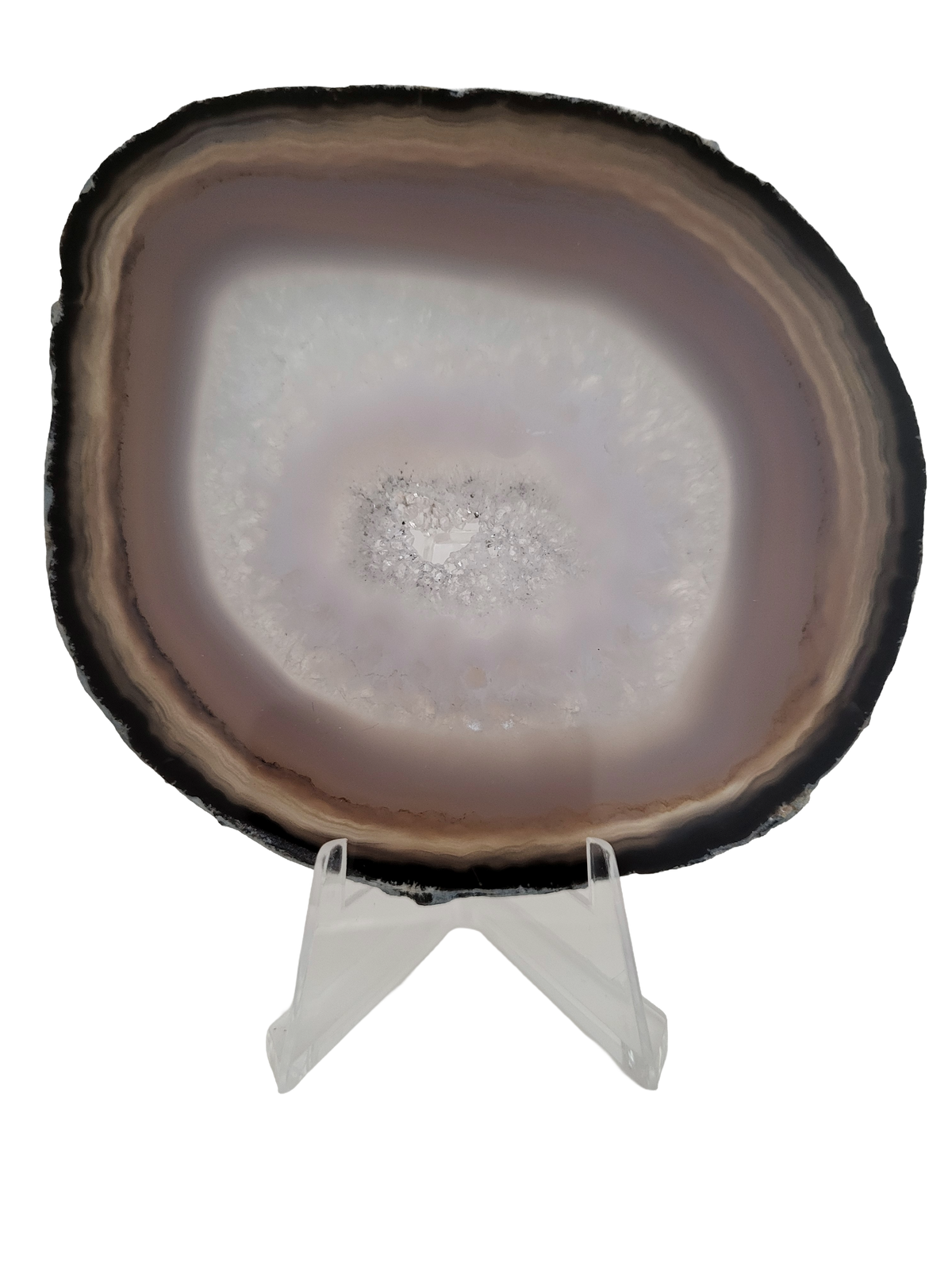 Agaatschijf