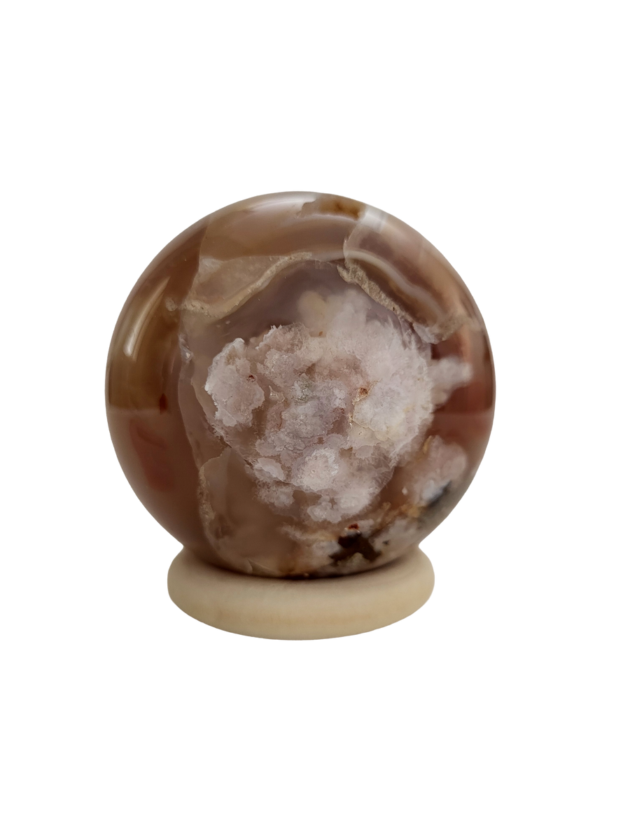 Bollen