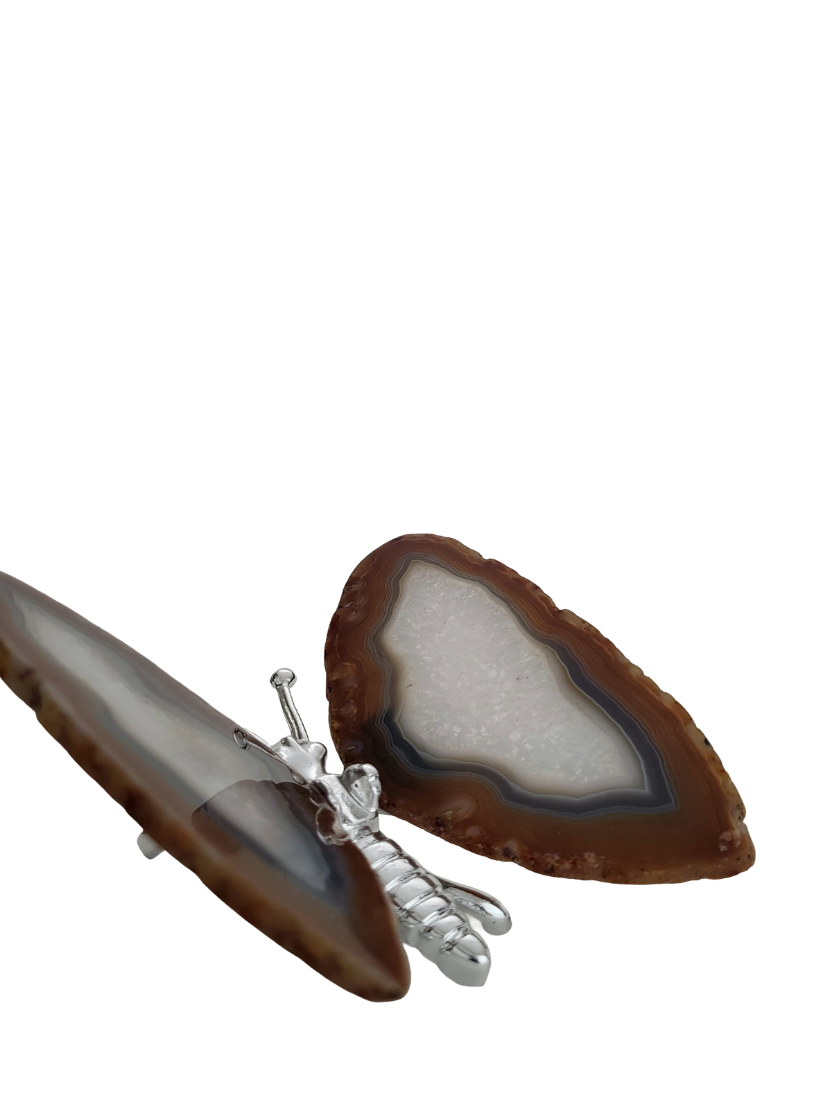 Agaat vlinder zilver