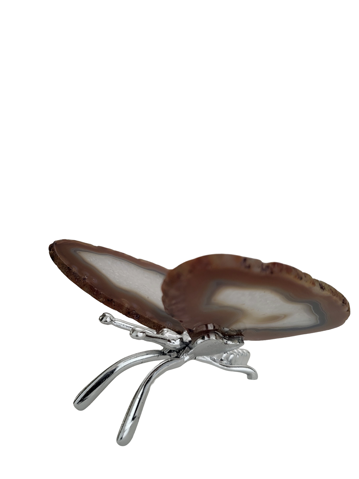 Agaat vlinder zilver