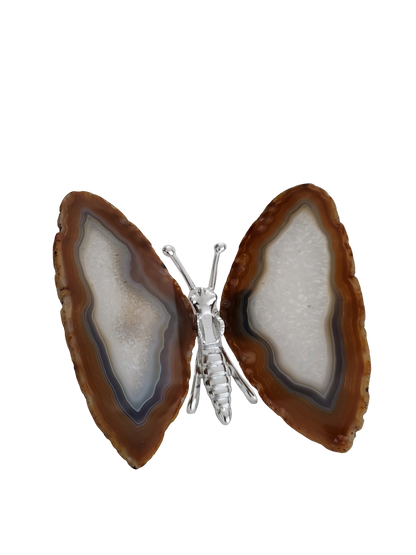 Agaat vlinder zilver