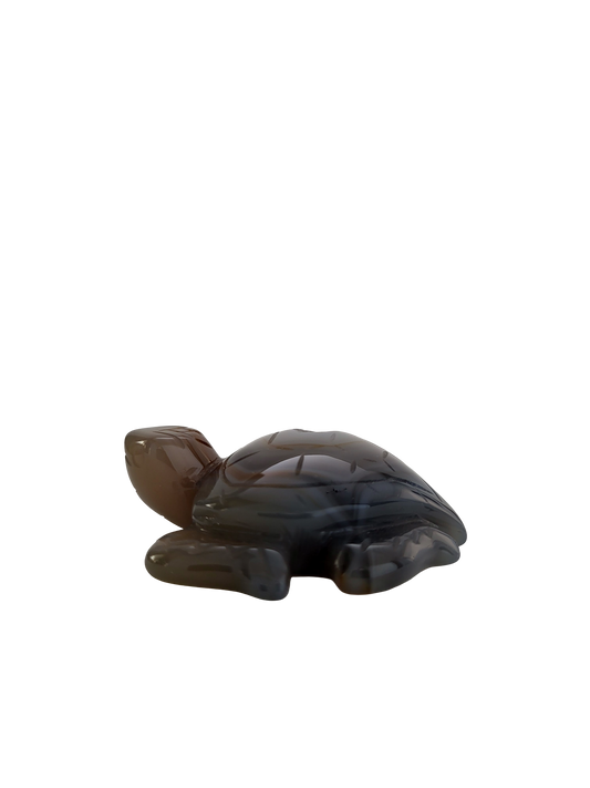 Agaat schildpad