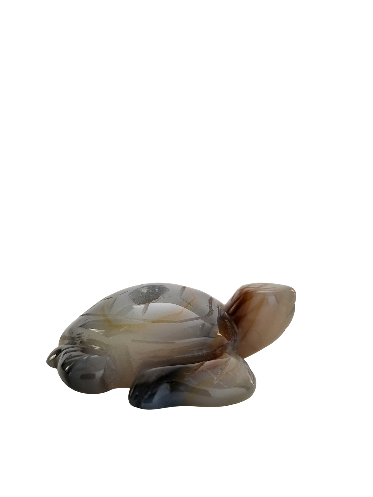 Agaat schildpad
