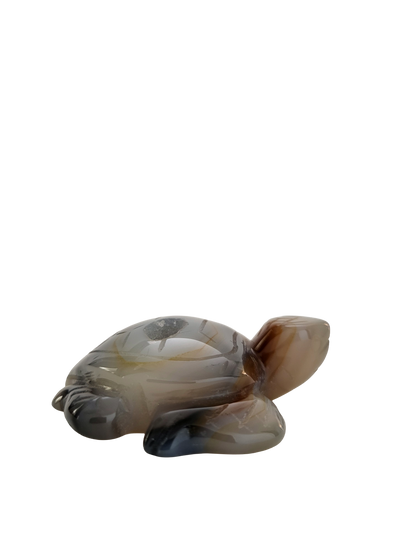 Agaat schildpad