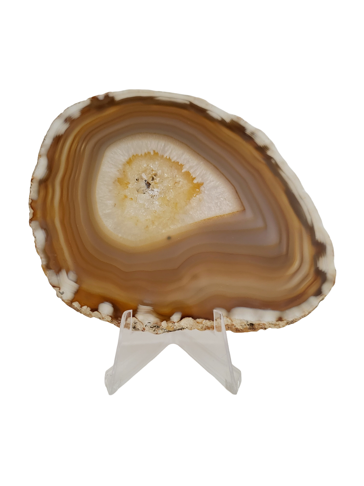 Agaatschijf