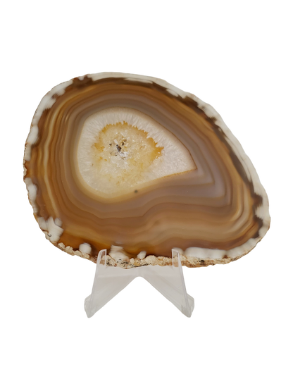 Agaatschijf