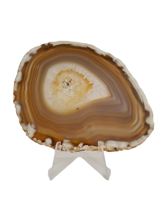 Agaatschijf