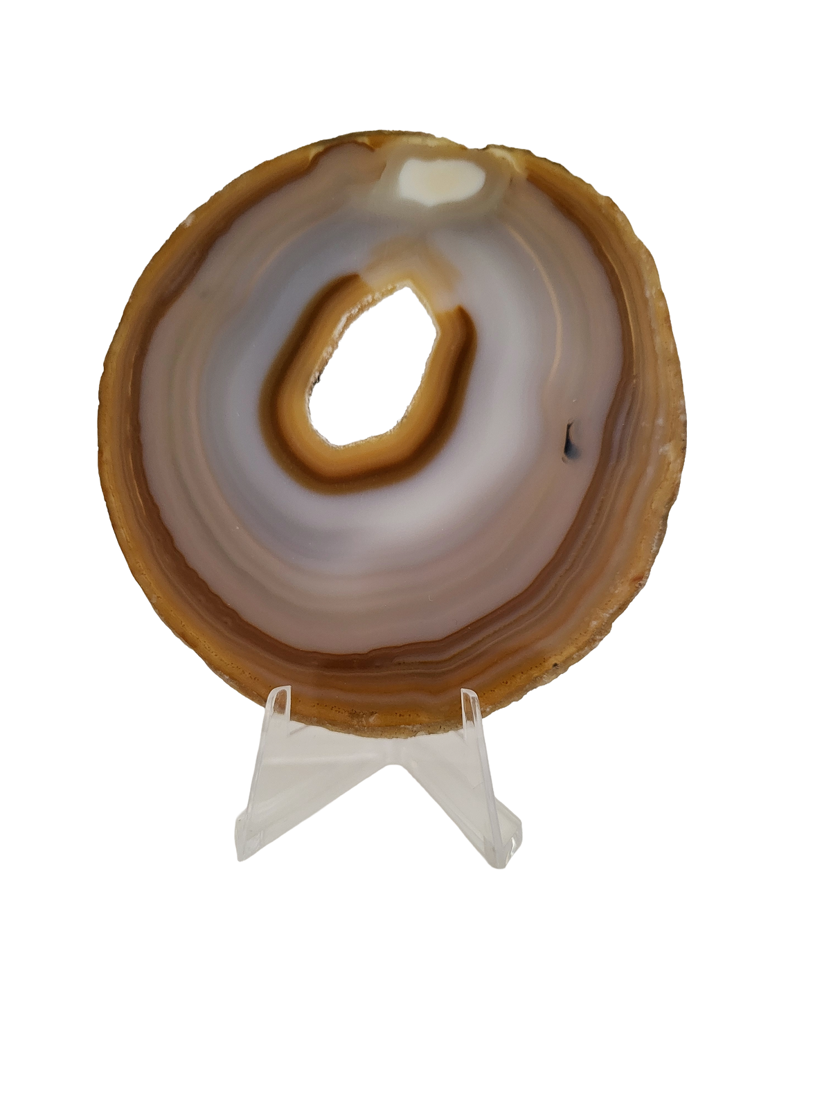 Agaatschijf