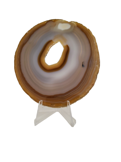 Agaatschijf