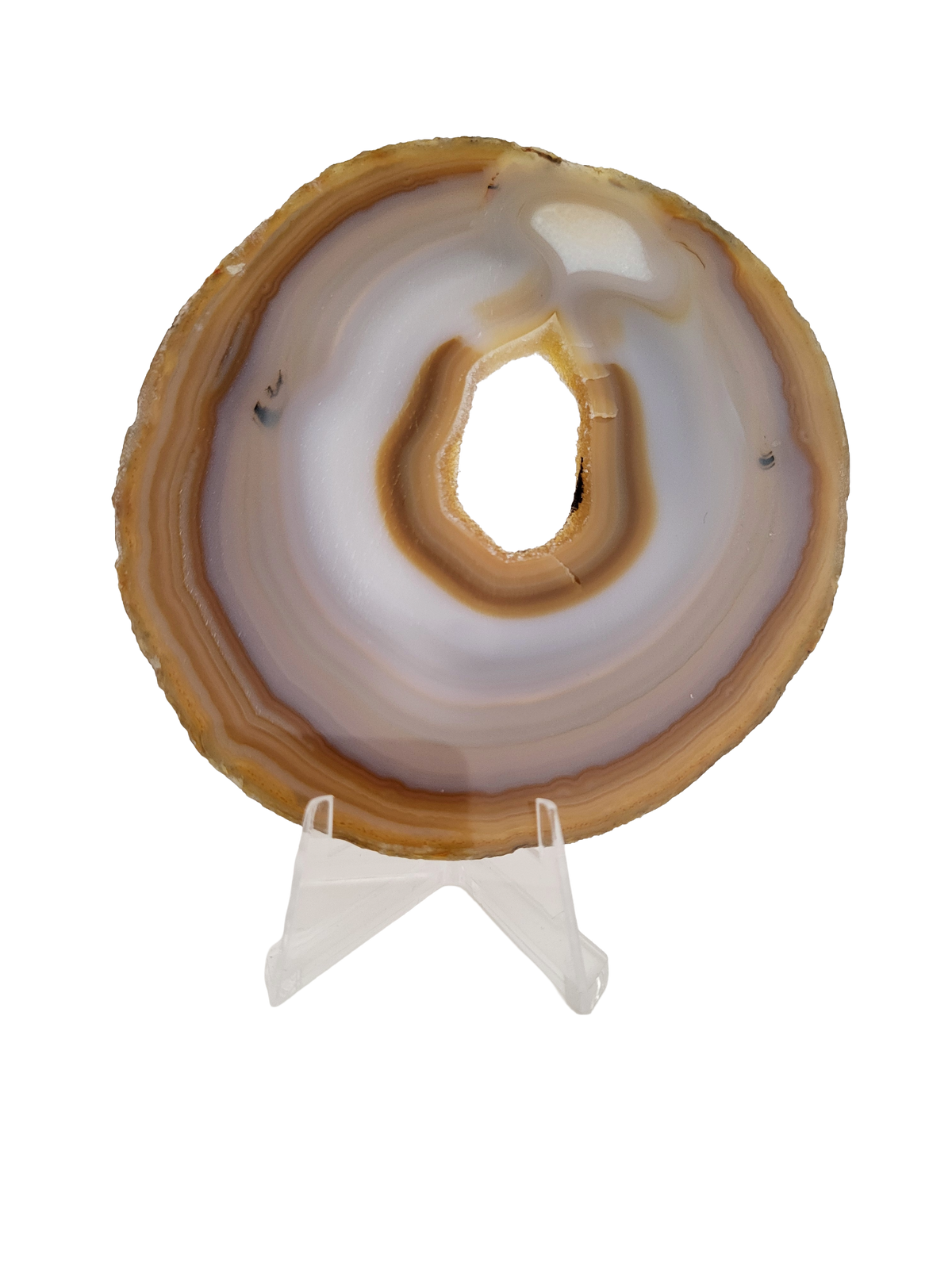 Agaatschijf