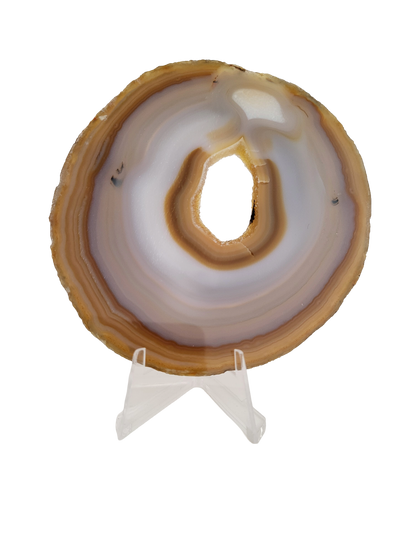 Agaatschijf