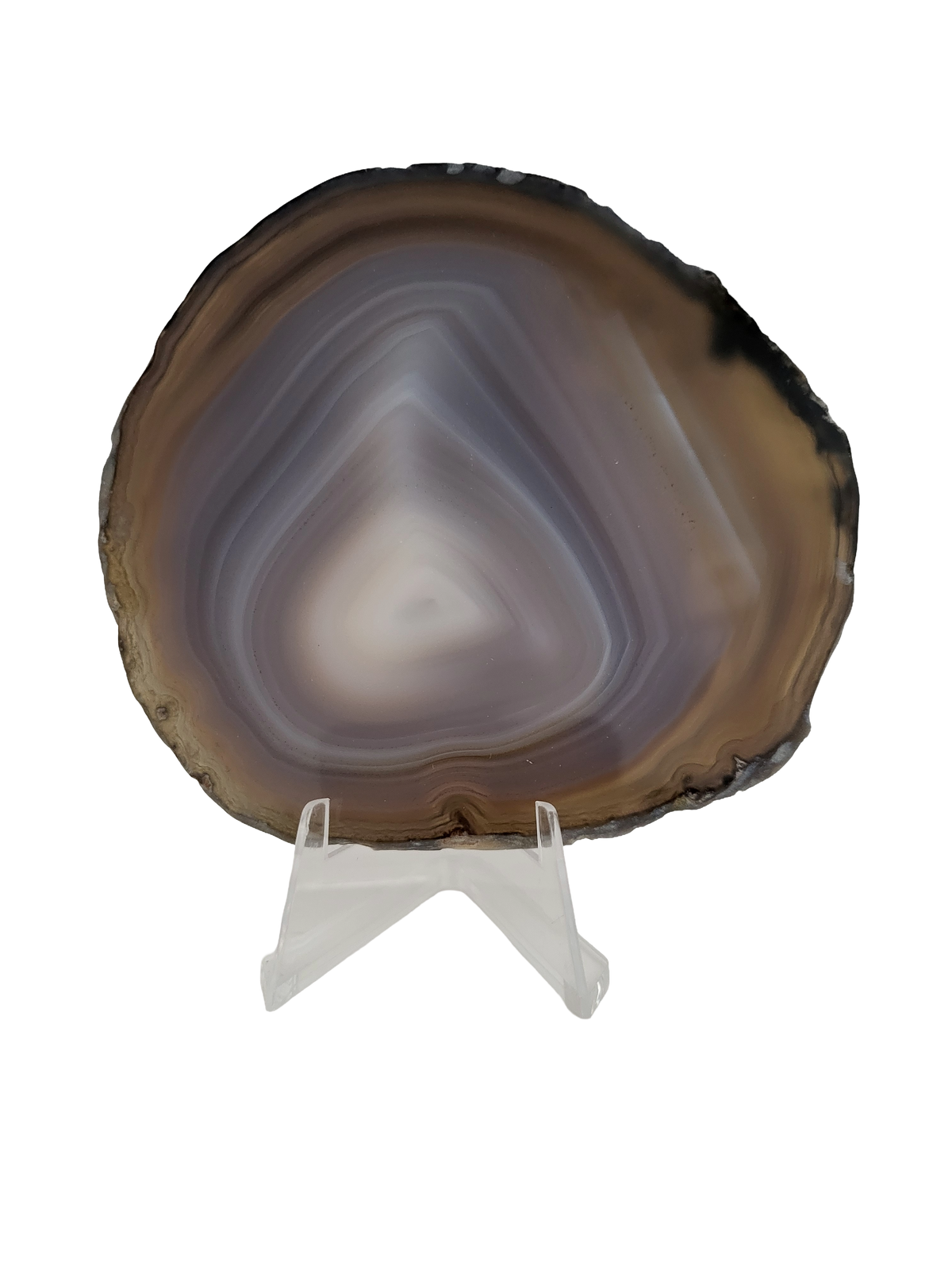Agaatschijf