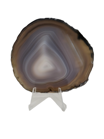 Agaatschijf