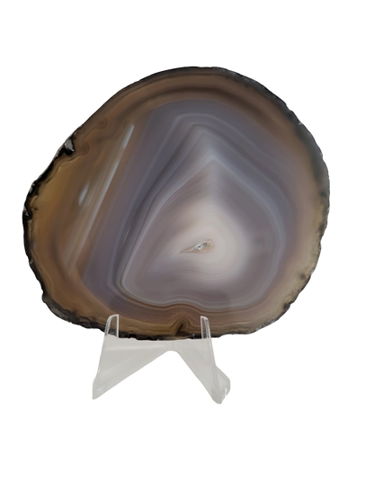 Agaatschijf