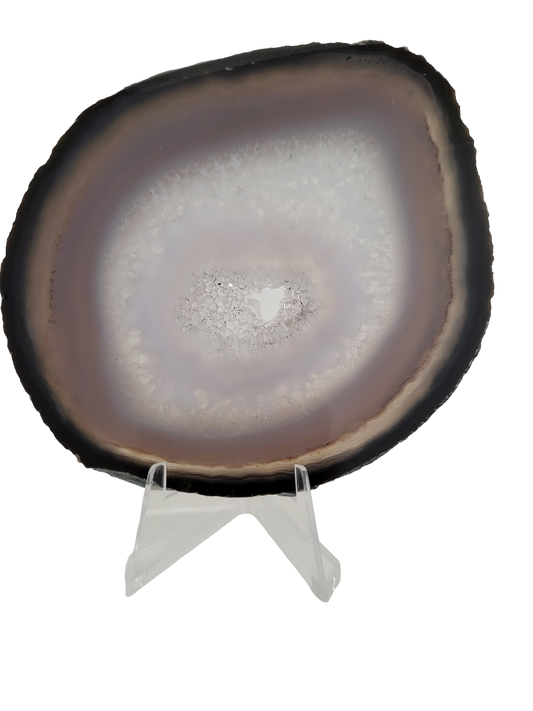 Agaatschijf