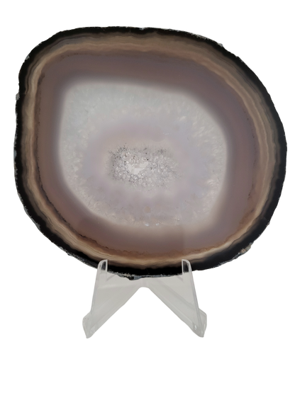 Agaatschijf