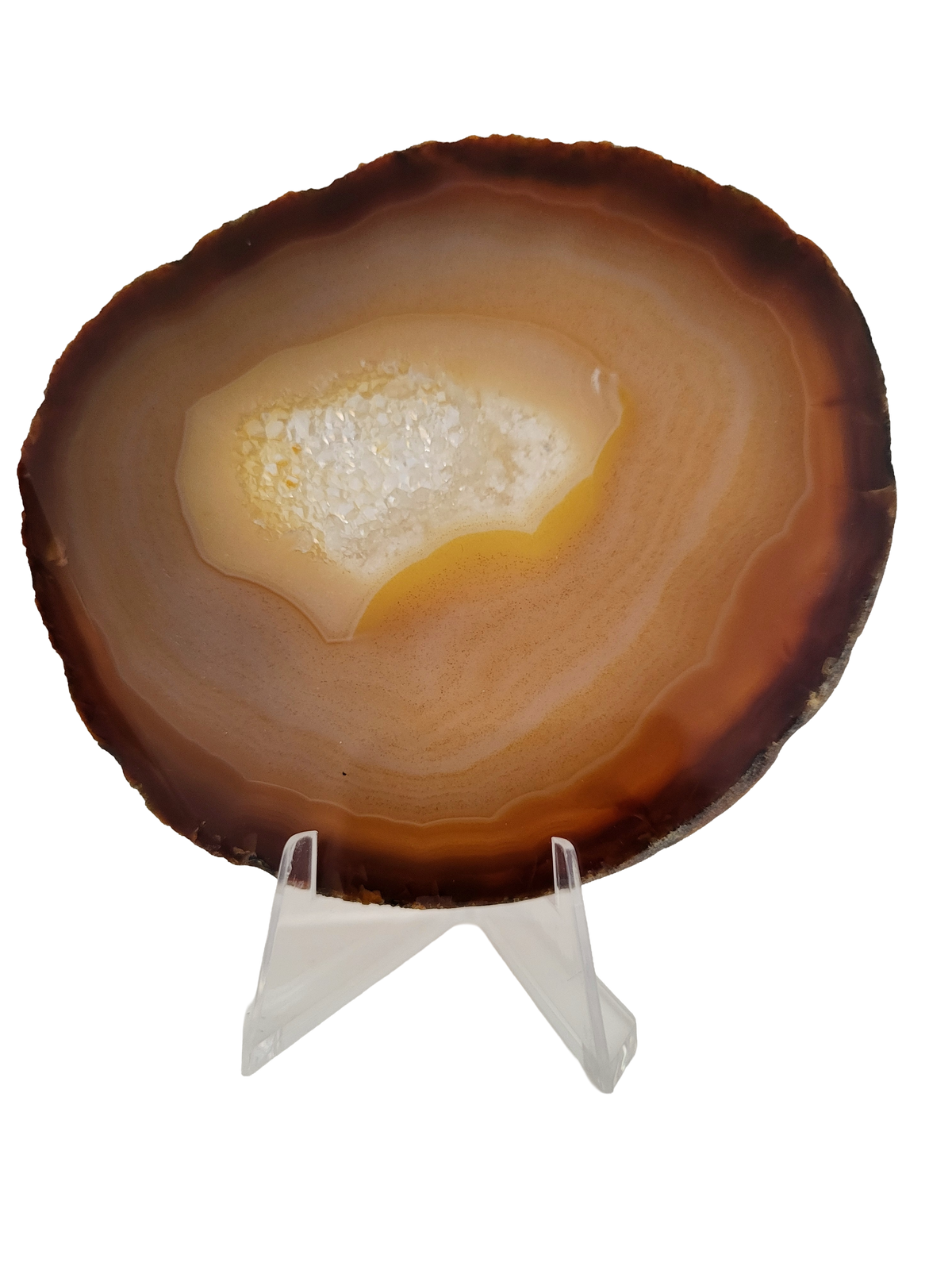 Agaatschijf