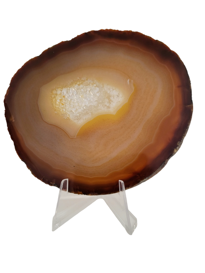 Agaatschijf