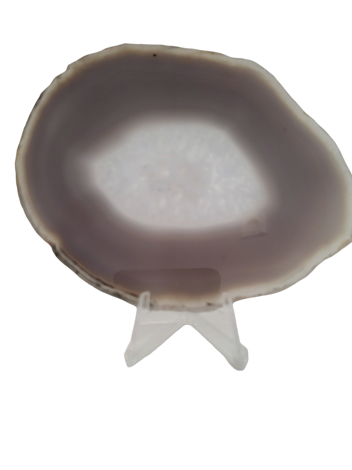 Agaatschijf
