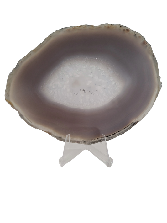 Agaatschijf